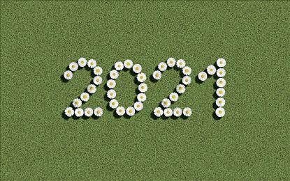 踏上令人叹为观止的冒险旅程《Spirit of the North 2》正式推出