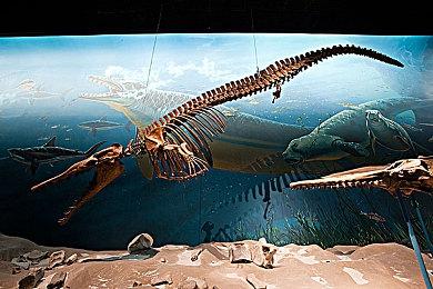 《绝境急袭：挑战重重》推出重大更新！